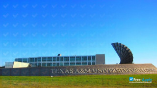 Miniatura de la Texas A&M University–Corpus Christi #7