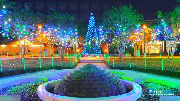 Texas A&M University–Corpus Christi photo #7