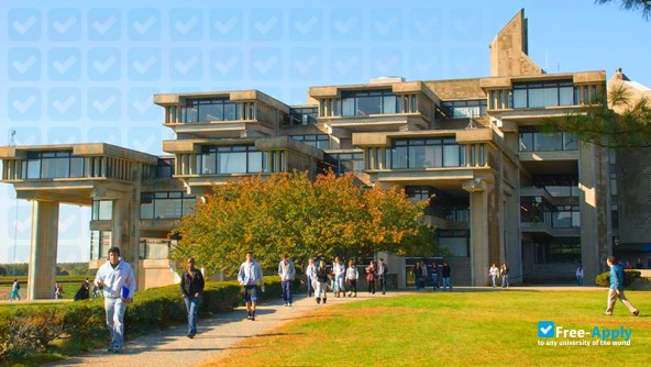 University of Massachusetts Dartmouth photo #8