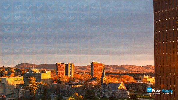 University of Massachusetts Amherst photo #8