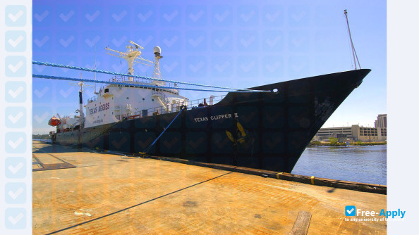 Texas A&M University at Galveston photo #1