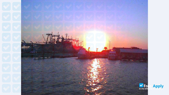 Texas A&M University at Galveston photo #3