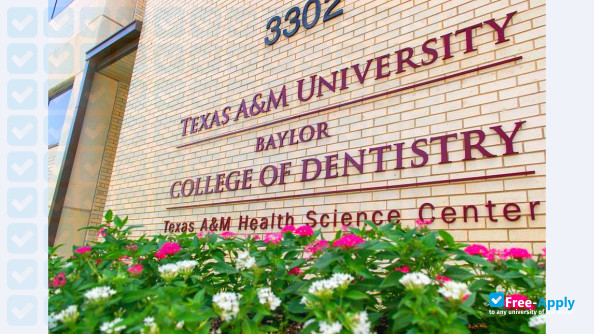 Photo de l’Texas A&M University College of Dentistry #13