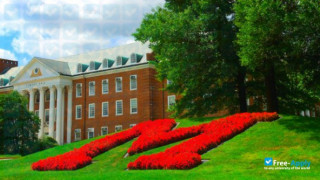 University of Maryland College Park vignette #4