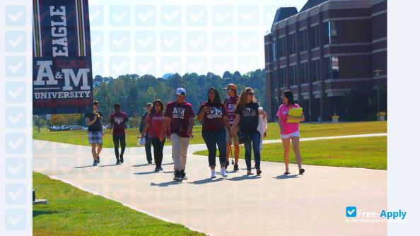 Texas A&M University–Texarkana photo #4