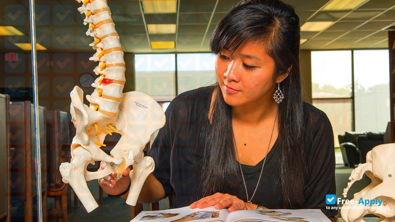 Texas Chiropractic College photo