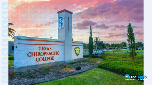 Texas Chiropractic College photo #1