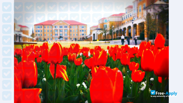 Texas Christian University photo #9