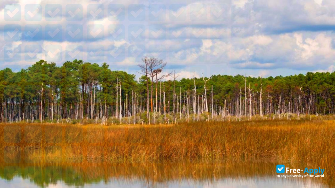 University of Maryland Center for Environmental Science photo