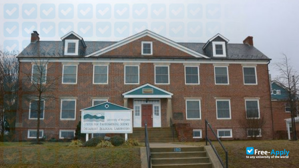 University of Maryland Center for Environmental Science photo #4