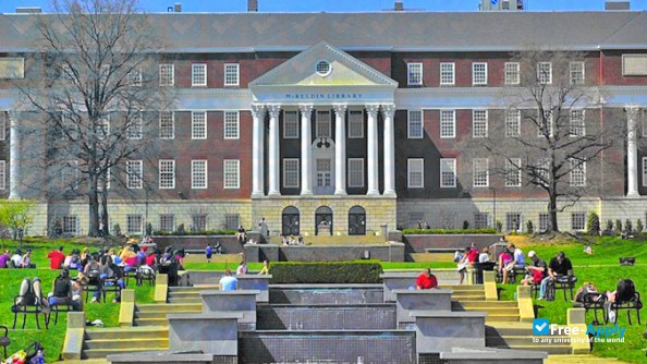 University of Maryland Baltimore County photo #4