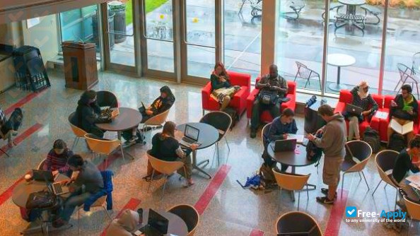 University of Maryland Baltimore County photo