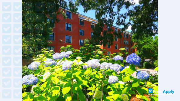 Photo de l’Tufts University #5