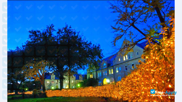 Tulane University photo