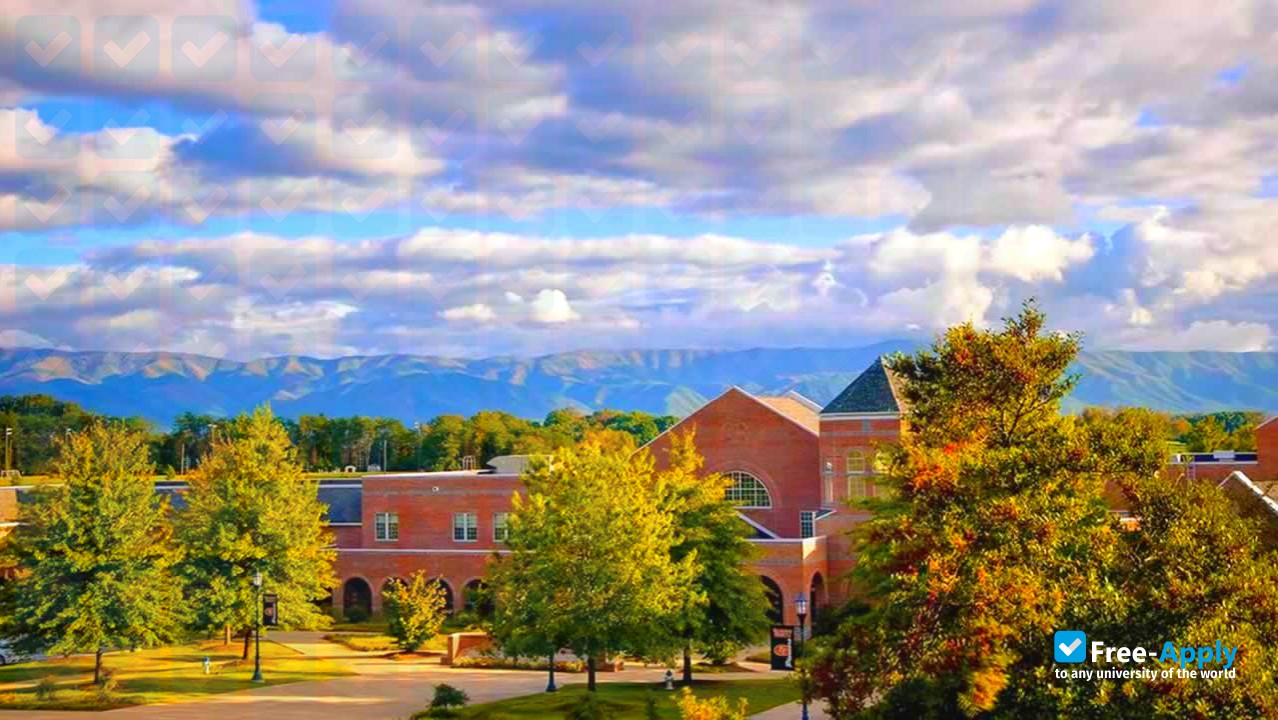 Tusculum University photo #3
