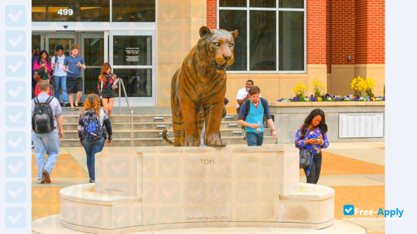 Photo de l’University of Memphis #3