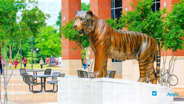 Photo de l’University of Memphis #4