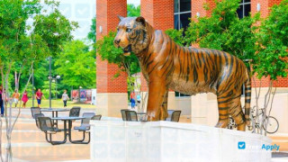 University of Memphis thumbnail #2