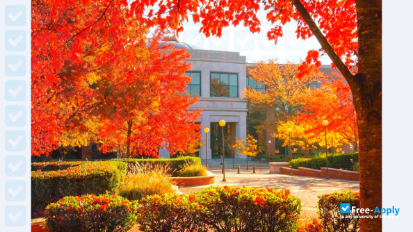Photo de l’University of Memphis #8