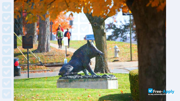 Photo de l’University of Arkansas #3