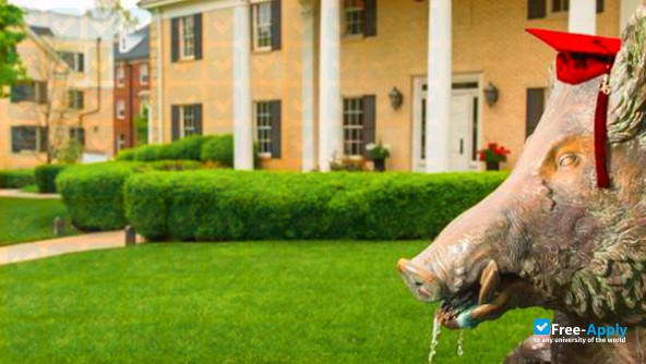 Photo de l’University of Arkansas #16