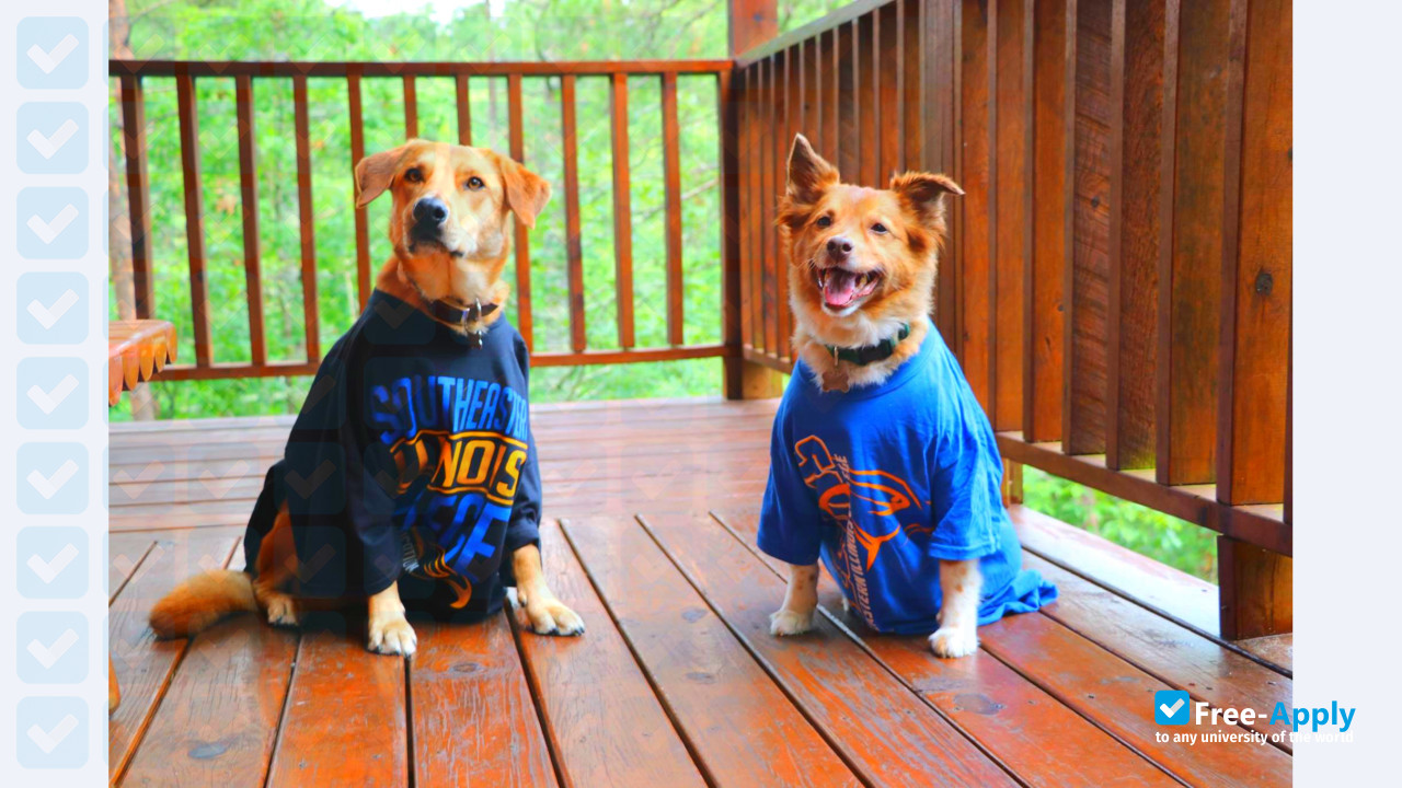 Foto de la Southeastern Illinois College #3