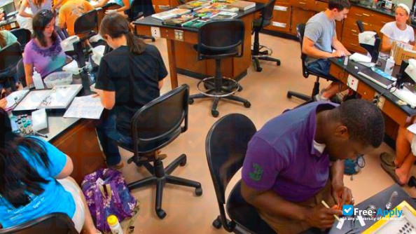 Southeastern Louisiana University photo #8