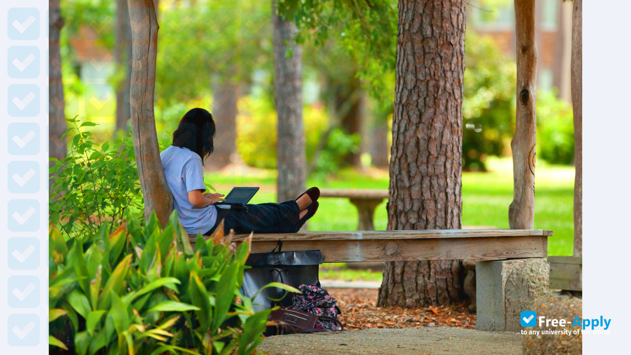 Southeastern Louisiana University photo #6