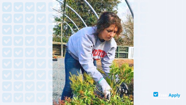 Southeastern University Florida photo #8