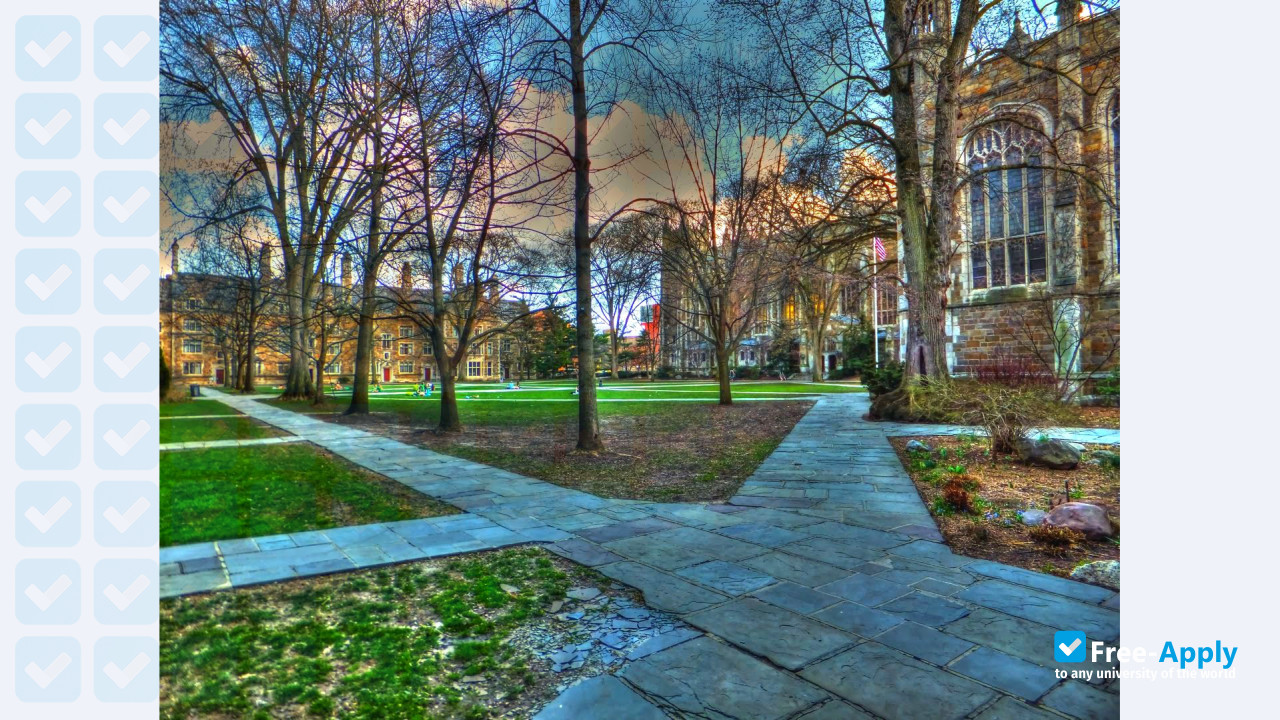 University of Michigan фотография №6