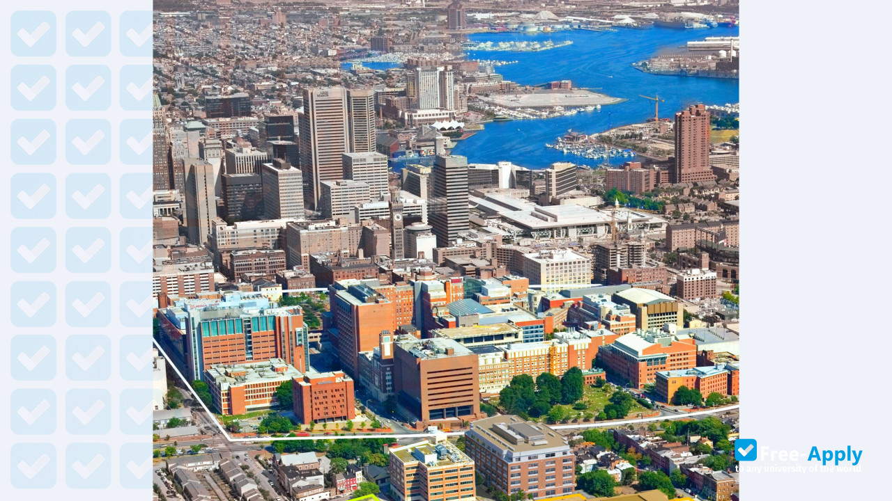 University of Maryland Baltimore photo #4