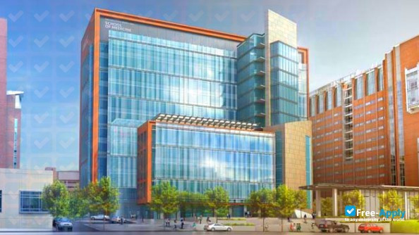 University of Maryland Baltimore photo #1