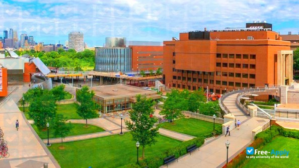 University of Minnesota Twin Cities фотография №3