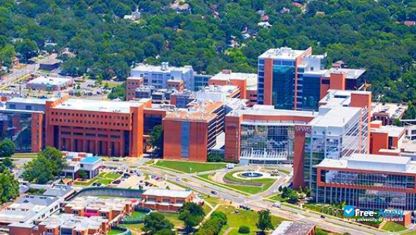University of Arkansas for Medical Sciences photo #5
