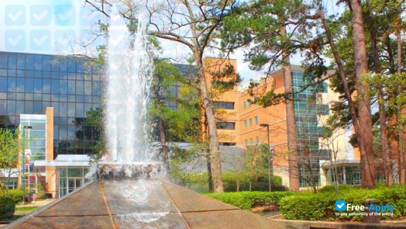 Photo de l’University of Arkansas at Little Rock #3