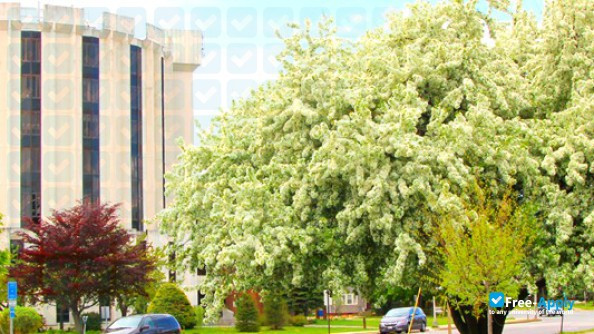 Foto de la University of Maine School of Law #7