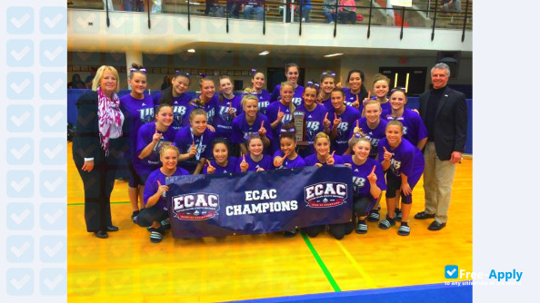 University of Bridgeport photo #2