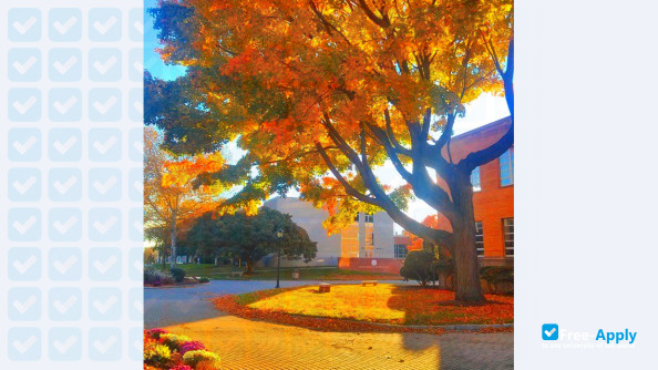 University of Bridgeport photo #10