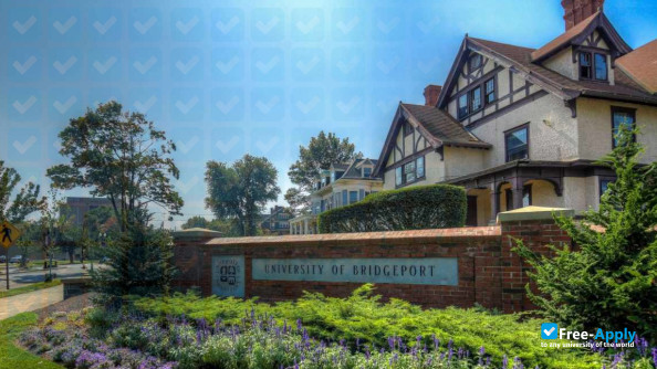 University of Bridgeport photo #8