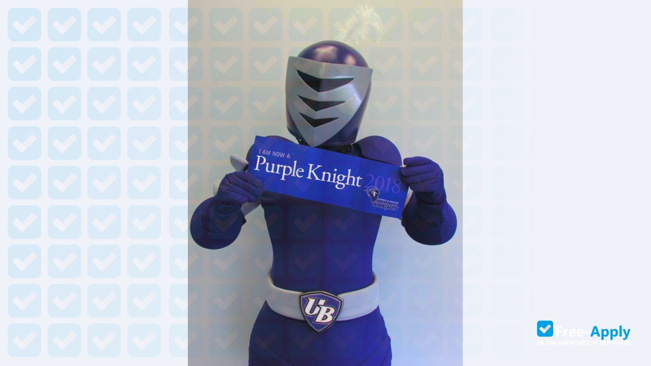 University of Bridgeport photo #4