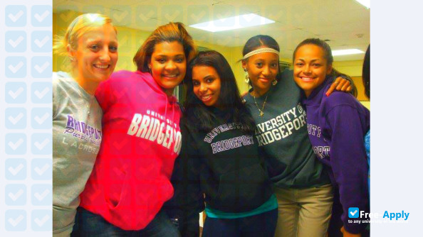 University of Bridgeport photo #11