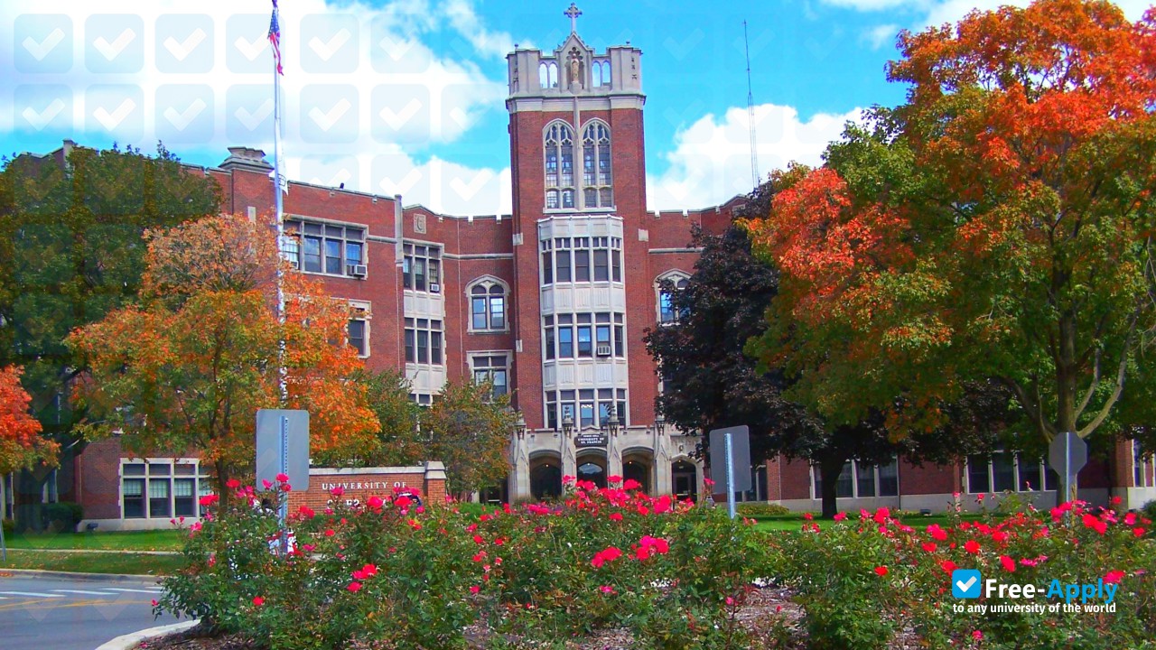 Photo de l’University of Saint Francis Illinois #3