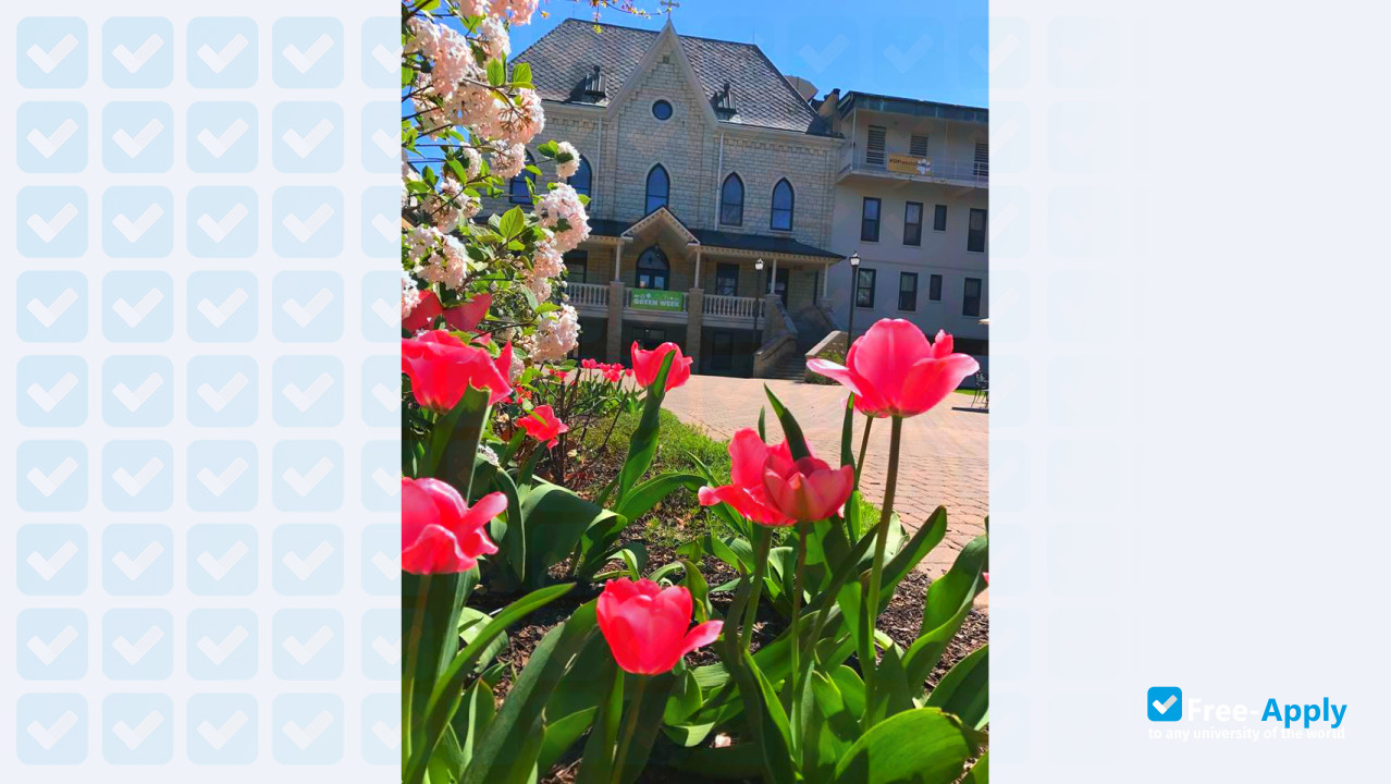 Photo de l’University of Saint Francis Illinois #2