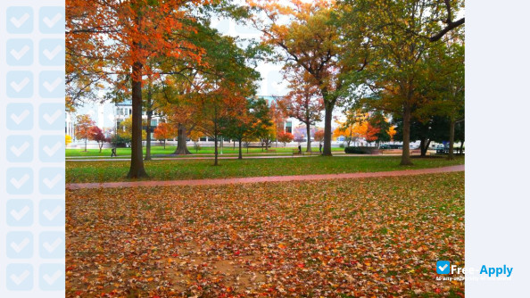 Foto de la United States Naval Academy #8