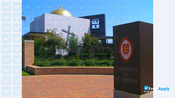 University of Saint Thomas Houston фотография №1