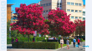 University of California, Irvine thumbnail #6