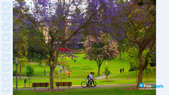 University of California, Irvine photo #2