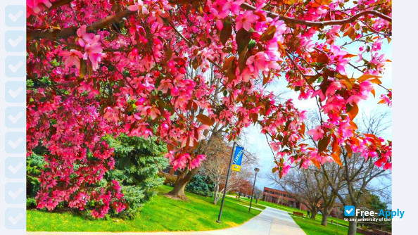 Foto de la University of Nebraska Kearney #11