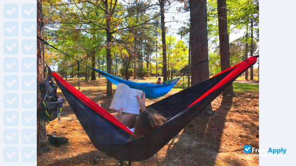 University of South Alabama photo