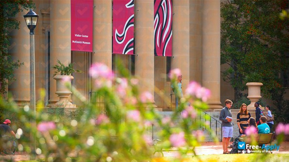 Foto de la University of South Carolina #5